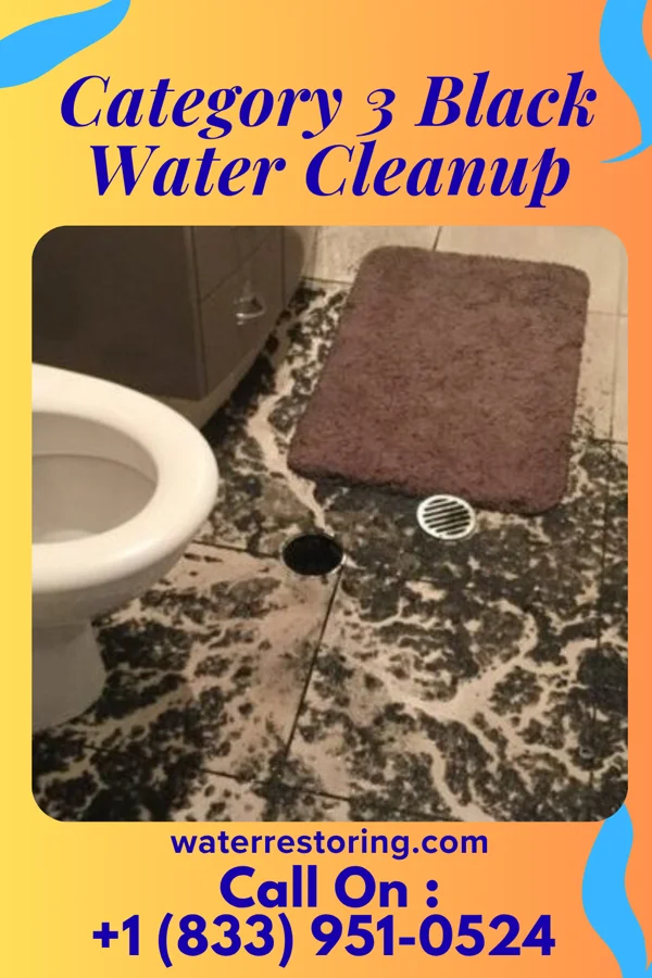 Category 3 Black Water Cleanup in Lester, IA