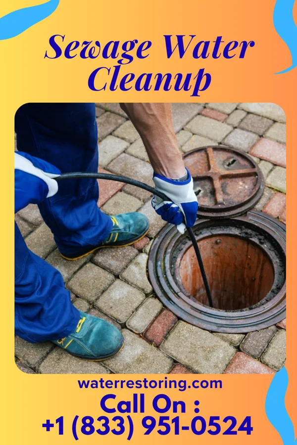 Sewage Water Cleanup in Lester, IA
